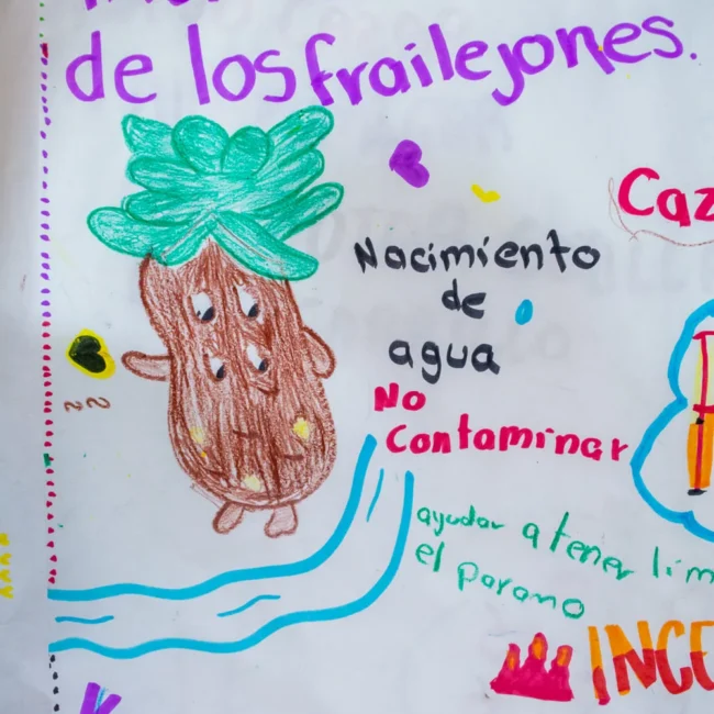 Entrega-SantaBarbara-106